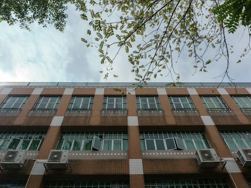 鹤岗市人才服务中心档案查询窗口